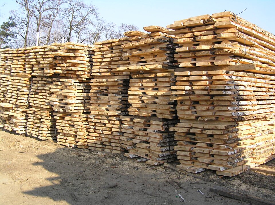 Zdjęcie przedstawia długie deski ustawione w stosy. Deski są jasne. W tle rosną drzewa. 