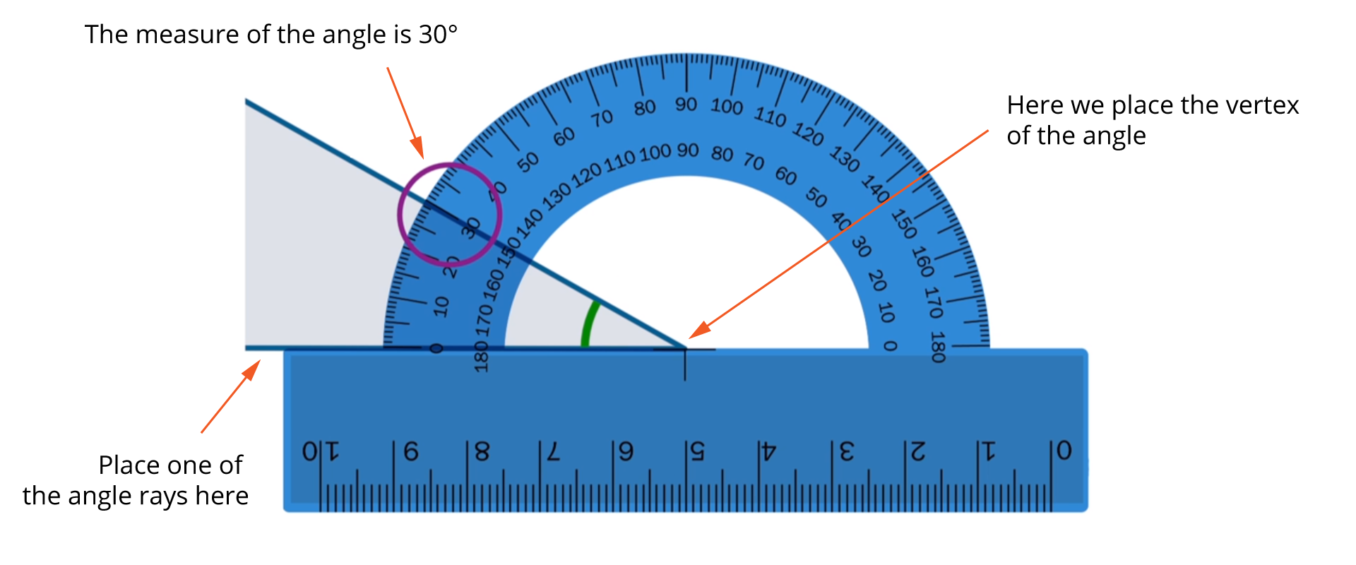 Ilustracja przedstawia zasada korzystania z kątomierza, wraz z komentarzami w języku angielskim. Mierząc kąty za pomocą typowego szkolnego kątomierza należy zwrócić uwagę na następujące rzeczy: Środek kątomierza (z reguły oznaczony pionową kreską) musi być ustawiony dokładnie na wierzchołku mierzonego kąta - Here we place the vertex of the angle. Kątomierz należy tak umieścić (nie zmieniając położenia środka), aby jedno z ramion kąta pokryło się z zerem na skali kątomierza - Place one of the angle rays here. Jeżeli kątomierz ma dwie skale, to odczytując wynik pomiaru posługujemy się skalą której zero pokrywa się z ramieniem kąta - The measure of the angle is 30 degrees.
