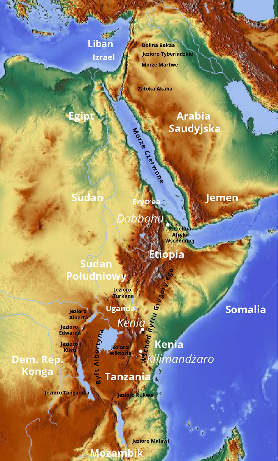 Na mapie północno-wschodniej Afryki zaznaczono obszary różnymi kolorami. Północna, zachodnia i południowa część Półwyspu Arabskiego ma kolor ciemnopomarańczowy, W północnej części półwyspu zaznaczono Dolinę Bekaa, Jezioro Tyberiadzkie, Morze Martwe, Zatokę Akaba. Brzegi Morza Czerwonego namalowano kolorem zielonym. W Erytrei w rejonie Dabbahu jest rozległy obszar zaznaczony kolorem ciemnopomarańczowym. W pobliżu Dabbahu jest szczelina Afryki Wschodniej. Wokół Jeziora Wiktorii, położonego na terenie Kenii, Ugandy i Tanzanii, teren jest ciemnopomarańczowy. Jezioro jest położone w kotlinie między Wielkim Rowem Zachodnim a Wielkim Rowem Wschodnim. Na zachodzie zaznaczono Ryft Albertyna, na wschodzie Wschód Ryftu Gregory'ego. Na zachód o Jeziora Wiktorii jest Jezioro Alberta, Jezioro Edwarda, Jezioro Kiwu, Jezioro Tanganika. Układają się w delikatny półksiężyc.