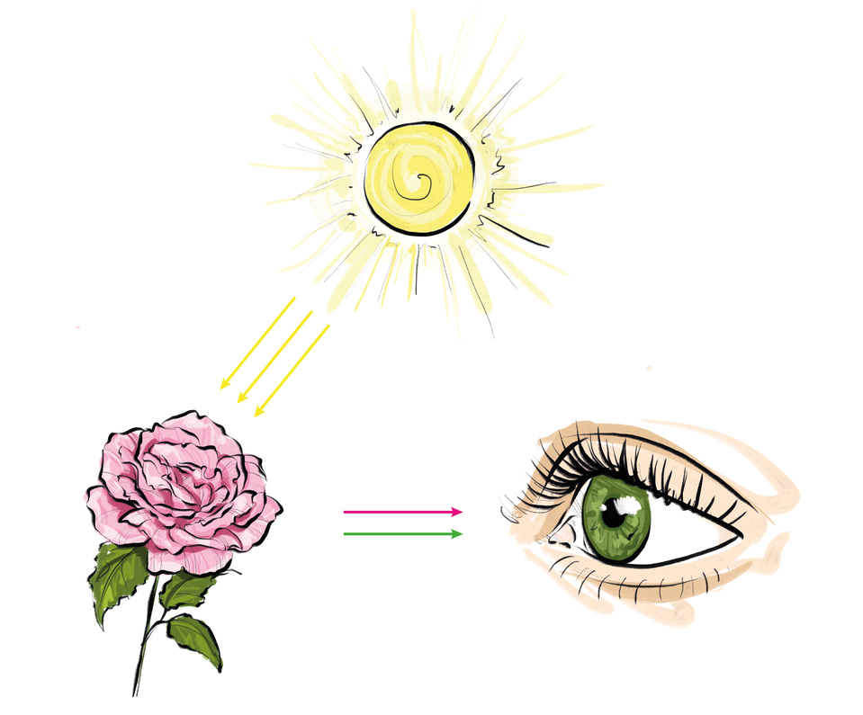Na grafice widoczne jest słońce (koloru żółtego), od którego prowadzą żółte strzałki do róży w pastelowych barwach (różowy i zielony). Widoczne jest również ludzkie oko koloru zielonego.
