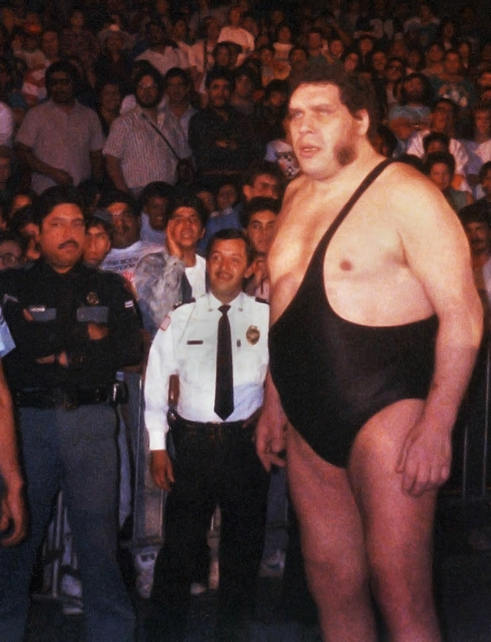 Fotografia przedstawia André the Gianta – francuskiego wrestlera chorujący na gigantyzm. Jego wzrost wynosił 224 cm. Na pierwszym planie widoczna jest potężna, wysoka postać w stroju wrestlera. W tle publiczność. 