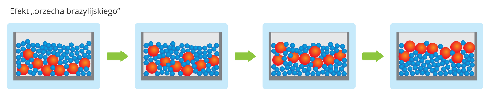 Paradoks orzechów brazylijskich. Na grafice są cztery pojemniki. W pierwszym znajdują się duże pomarańczowe kule na dnie pojemnika, przykryte małymi niebieskimi kulkami. Strzałka zielona w prawo. Za strzałką znajduje się pojemnik, w którym duże pomarańczowe kule i małe niebieskie kulki są wymieszane w całej objętości. Strzałka zielona w prawo. Pojemnik, w którym większość małych niebieskich kulek znajduje się na dnie, duże pomarańczowe kulki znajdują się bliżej góry. Przykryte są niewielką warstwą małych niebieskich kulek. Strzałka zielona w prawo. Pojemnik, w którym pomarańczowe kule są na górze, a małe niebieskie kulki znajdują się na dole.