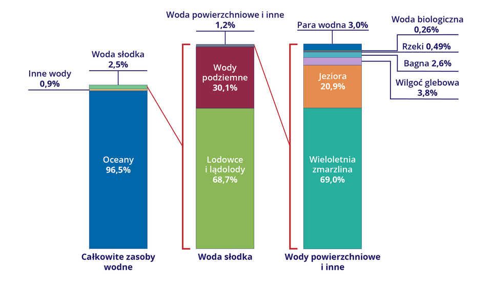 Na schemacie w postaci trzech kolumn przedstawiono zasoby wodne ziemi. Pierwsza kolumna dotyczy całkowitych zasobów wodnych, druga wody słodkiej, trzecia wód powierzchniowych i innych. W przypadku całkowitych zasobów wodnych 96,5% stanowią oceny, 2,5% woda słodka, 1% inne wody. Przypadku wody słodkiej 68,7% stanowią lodowce i lądolody, 30,1% wody podziemne, 1,2% wody powierzchniowe i inne. W przypadku wód powierzchniowych i innych 69% stanowi wieloletnia zmarzlina, 20,9% jeziora, 3,8% wilgoć glebowa, 3% para wodna, 2,6% bagna, 0,49% rzeki, 0,26% woda biologiczna.