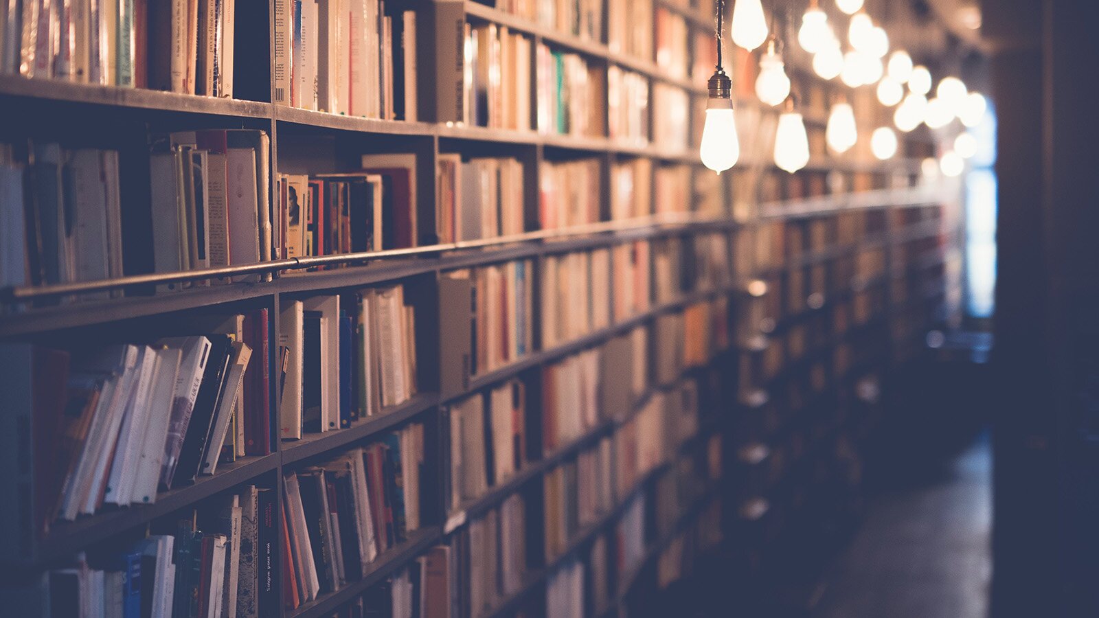 Zdjęcie przedstawia pomieszczenie, w którym widoczny jest bardzo długi regał wypełniony używanymi książkami. U góry, na prawo od regału widoczny jest rząd świecących się lampek. W tle widoczne jest okno.
