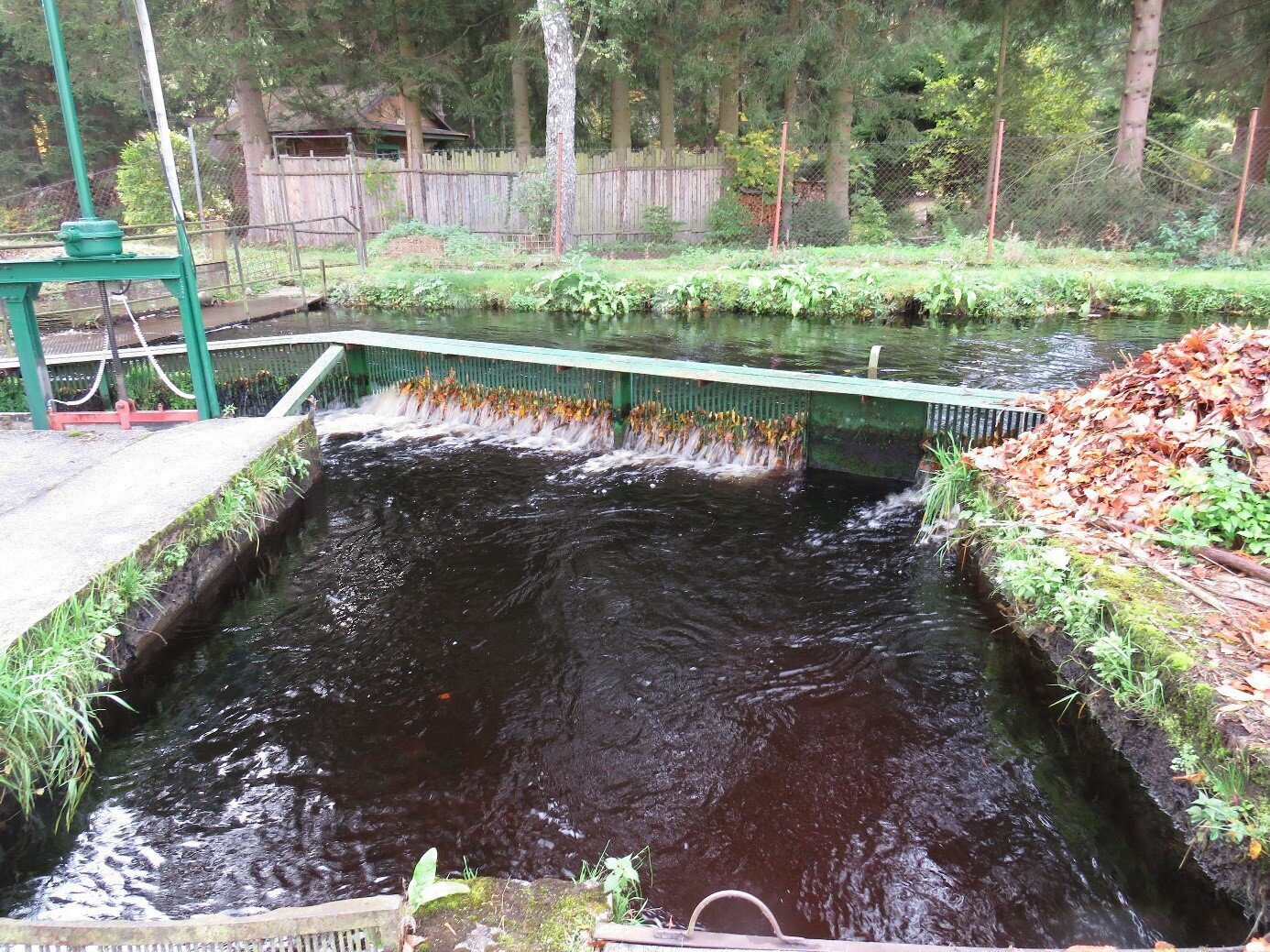 Zdjęcie przedstawia jaz z bliska. Jest to budowla hydrotechniczna wybudowana w poprzek kanału. Posiada ona liczne przęsła, przez które przepływa woda. Woda jest spieniona. Widać, że jej poziom przed i za jazem się różni.