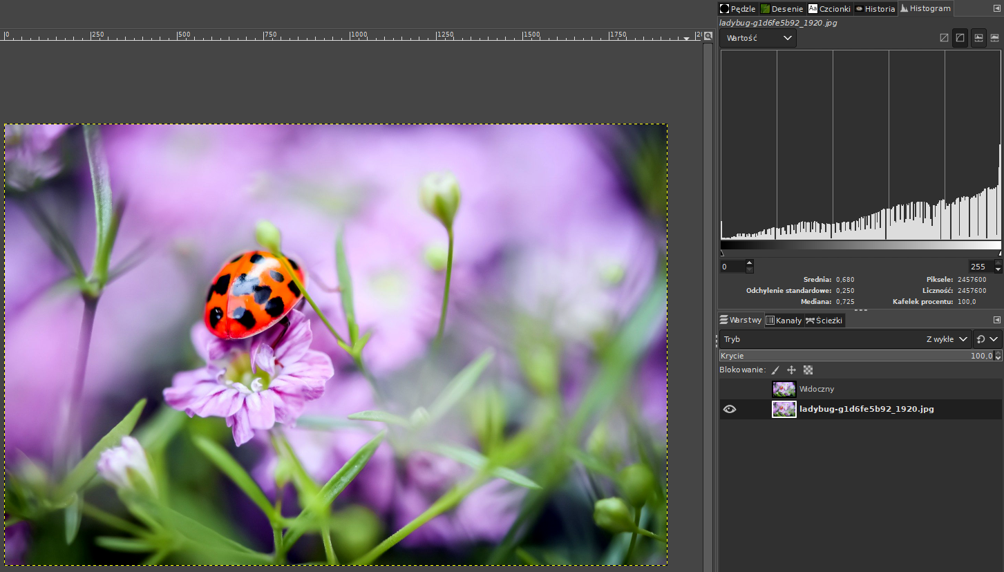 Ilustracja przedstawia okno programu. W obszarze roboczym jest zdjęcie biedronki siedzącej na różowym kwiatku. Po prawej stronie jest panel dotyczący wartości wraz z histogramem, poniżej jest opcja warstw. Są dwie warstwy o nazwach: Widoczny oraz ladybug‑gld6fe5b92_1920.jpg. 