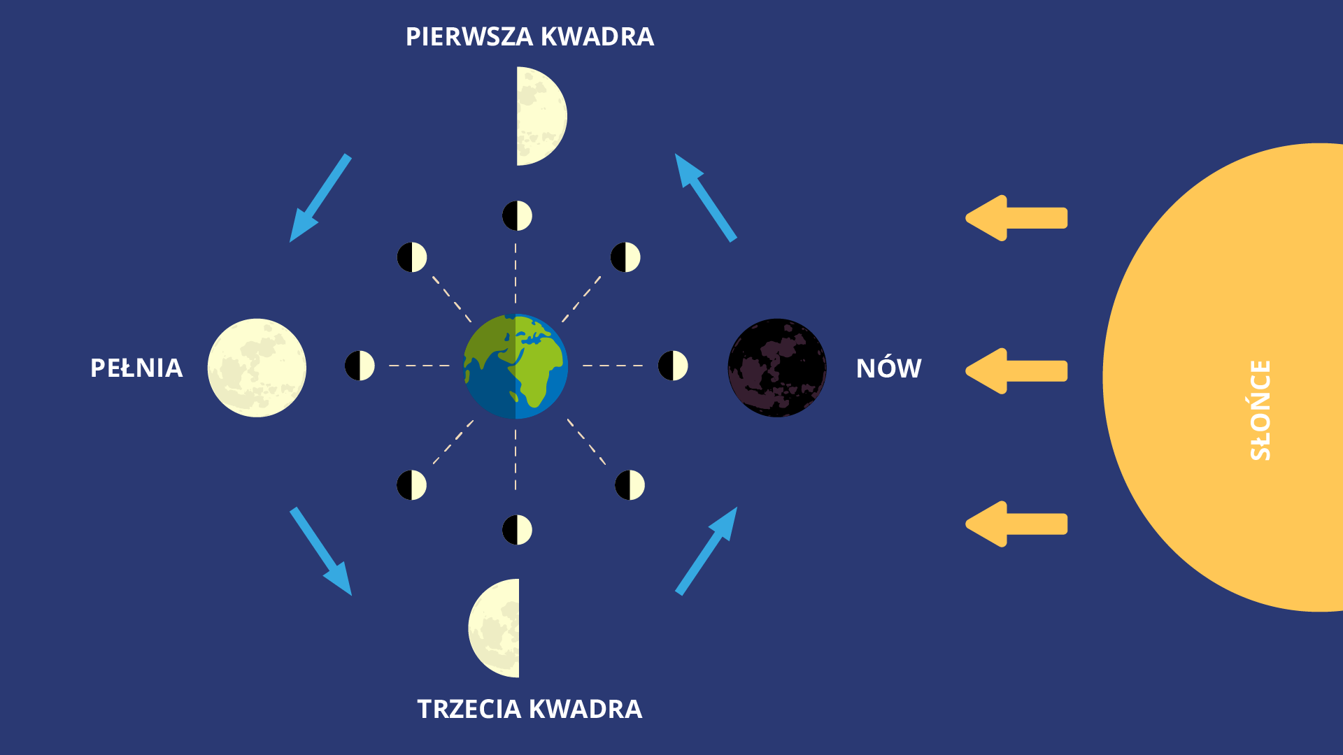 Ilustracja przedstawia schemat obrazujący poszczególne fazy Księżyca. Tło ma kolor granatowy. Po prawej stronie znajduje się pomarańczowe słońce. Jest ono podpisane białą czcionką. Na lewo od Słońca są trzy pomarańczowe strzałki skierowane w lewą stronę, odzwierciedlające kąt padania promieni słonecznych. Na środku ekranu jest kula ziemska. Lądy oznaczono kolorem zielonym, a wody niebieskim. Od kuli ziemskiej odchodzi osiem przerywanych linii. Na końcu każdej z nich znajduje się okrągły Księżyc. Jego prawa połowa jest oświetlona, a druga zaciemniona. Dookoła schematu są cztery Księżyce w powiększeniu. Każdy z nich jest w innej fazie. Dookoła Księżyców są cztery niebieskie strzałki wskazujące kierunek obiegu Księżyca wokół Ziemi. Są one skierowane w lewą stronę, przeciwnie do ruchu wskazówek zegara. Pierwszy Księżyc od góry jest opisany tekstem: „Pierwsza kwadra”. Przedstawia Księżyc oświetlony z prawej strony. Widać jego połowę. Drugi Księżyc, na lewo od pierwszego, jest opisany tekstem: „Pełnia”. Jest oświetlony w całości. Trzeci Księżyc jest opisany tekstem: „Trzecia kwadra”. Przedstawia Księżyc oświetlony z lewej strony. Widać jego połowę. Czwarty Księżyc jest opisany tekstem: „Nów”. Jest zaciemniony w całości.