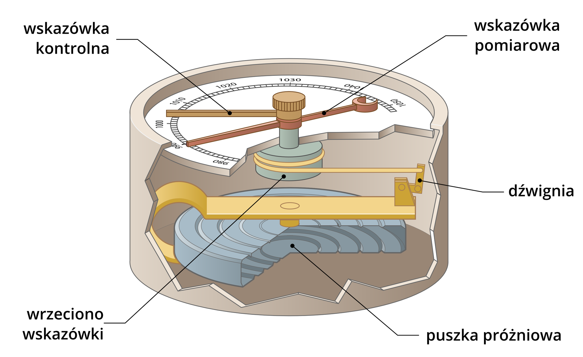 Grafika przedstawia aneroid. Od góry widoczna jest tarcza pomiarowa i wskazówki. Jedna wskazówka jest wskazówką pomiarową, a druga kontrolną. W środku urządzenia znajduje się mechanizm umożliwiający poruszanie wskazówek. Składa się on z dźwigni, której jeden fragment przymocowany jest do wrzeciona wskazówki, a drugi do znajdującej się na dnie urządzenia puszki próżniowej.