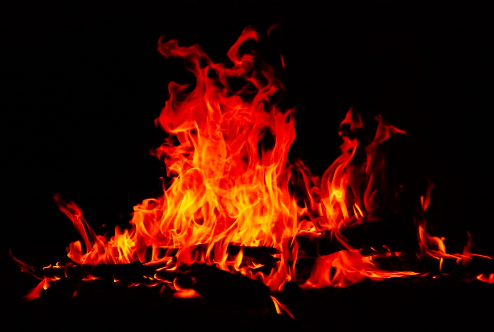 Zdjęcie przedstawia z bliska ogień. Płomienie wyskakują wysoko w górę z leżących na ziemi grubych gałęzi, inne pełgają nisko. Wydaje się, że ognisko jest ogromne, wielkości człowieka. Czuje się gorąco.