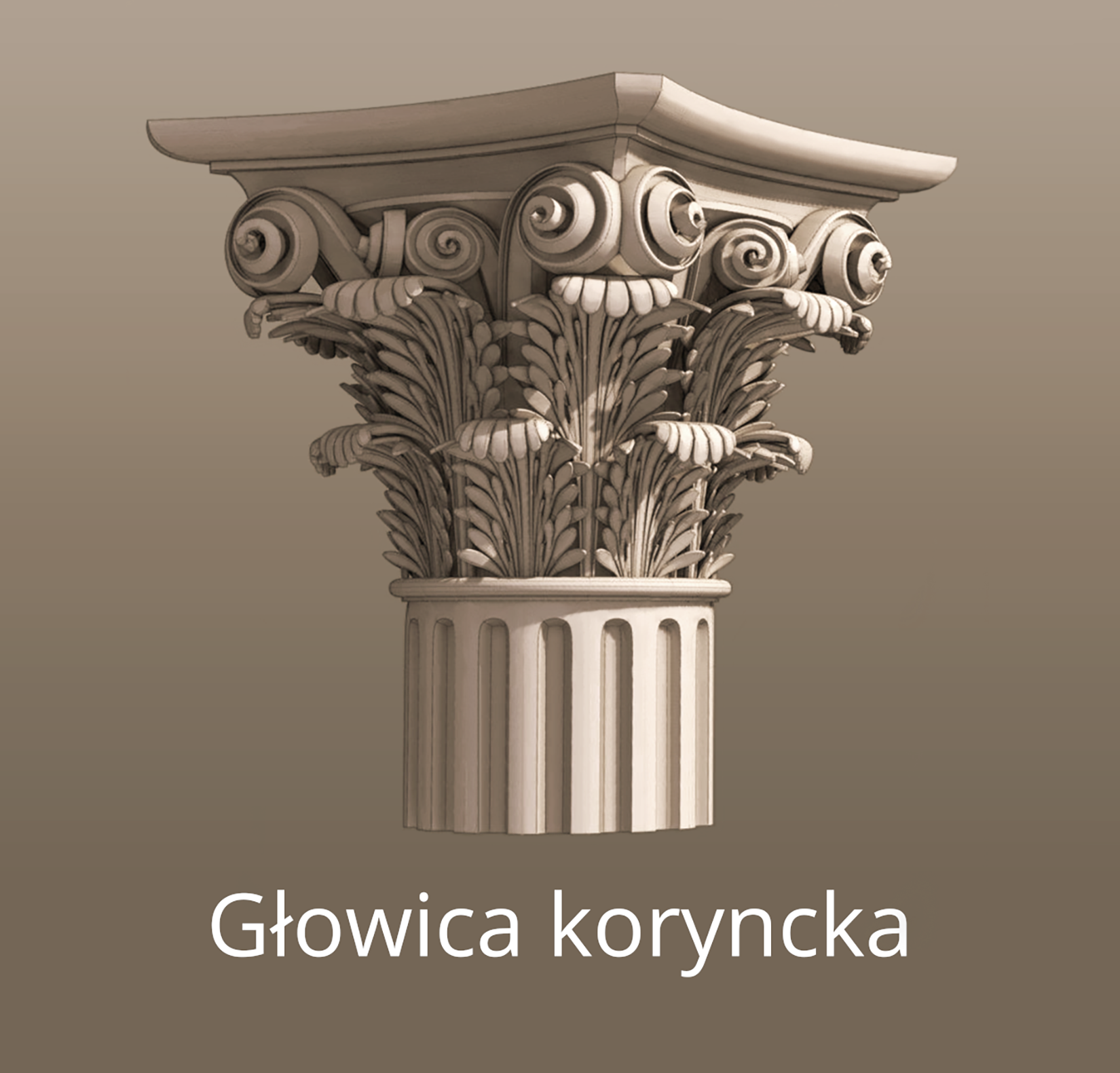 Na ilustracji znajduje się grafika przedstawiająca głowicę oraz fragment trzonu kolumny korynckiej. Głowica kolumny jest zdobiona rzeźbionymi motywami roślinnymi. Są to liście oraz pąki i wygięte łodygi kwiatów. Trzon kolumny jest żłobkowany.