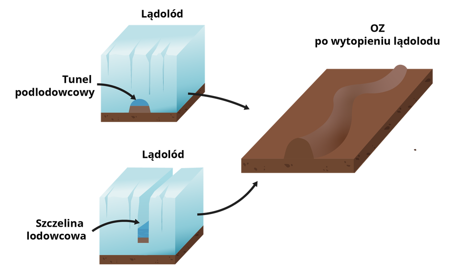 Grafika przedstawia powstawanie ozu. Najpierw w lądolodzie, na jego dnie, tworzy się tunel podlodowcowy a następnie od góry szczelina lodowcowa. Po wytopieniu lądolodu zostaje długi, kręty wał.