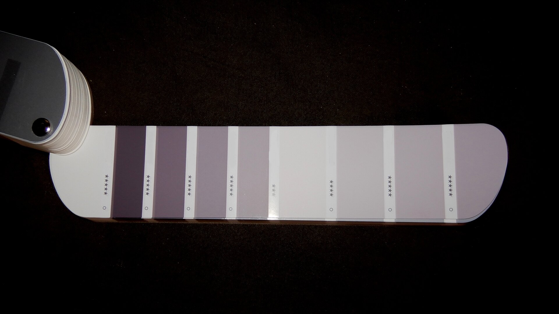 Ilustracja przedstawia próbnik kolorów. Ukazuje połączone paski, na których zamieszczone zostały kolory, tworzące zestawy monochromatyczne, pochodzące od koloru ciemnofioletowego, który jest rozjaśniany aż do prawie bieli o fioletowym odcieniu.