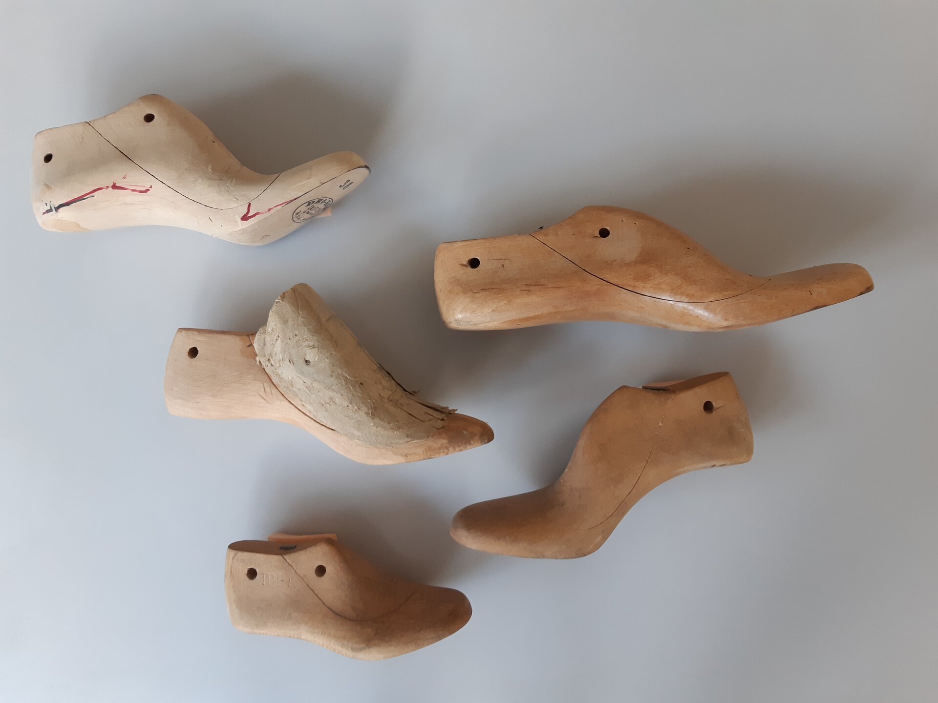 Zdjęcie przedstawia drewniane kopytka klinowe o różnym ugięciu formy. 