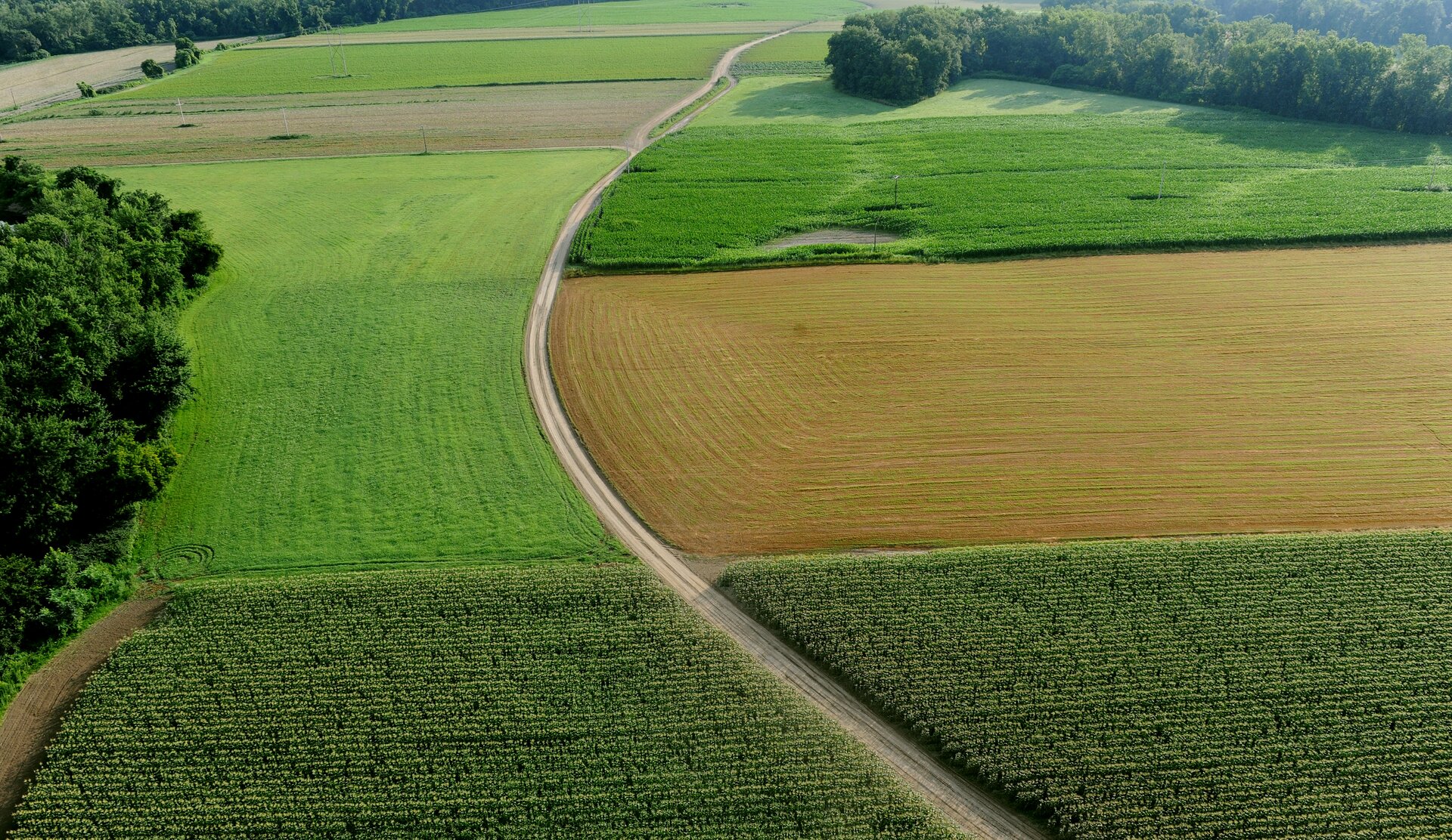 Fotografia barwna przedstawiająca pas nizin. Ilustracja przedstawia tereny rolne. Po środku znajduje się gruntowa droga. Z brzegu - po prawej i lewej stronie widać las.