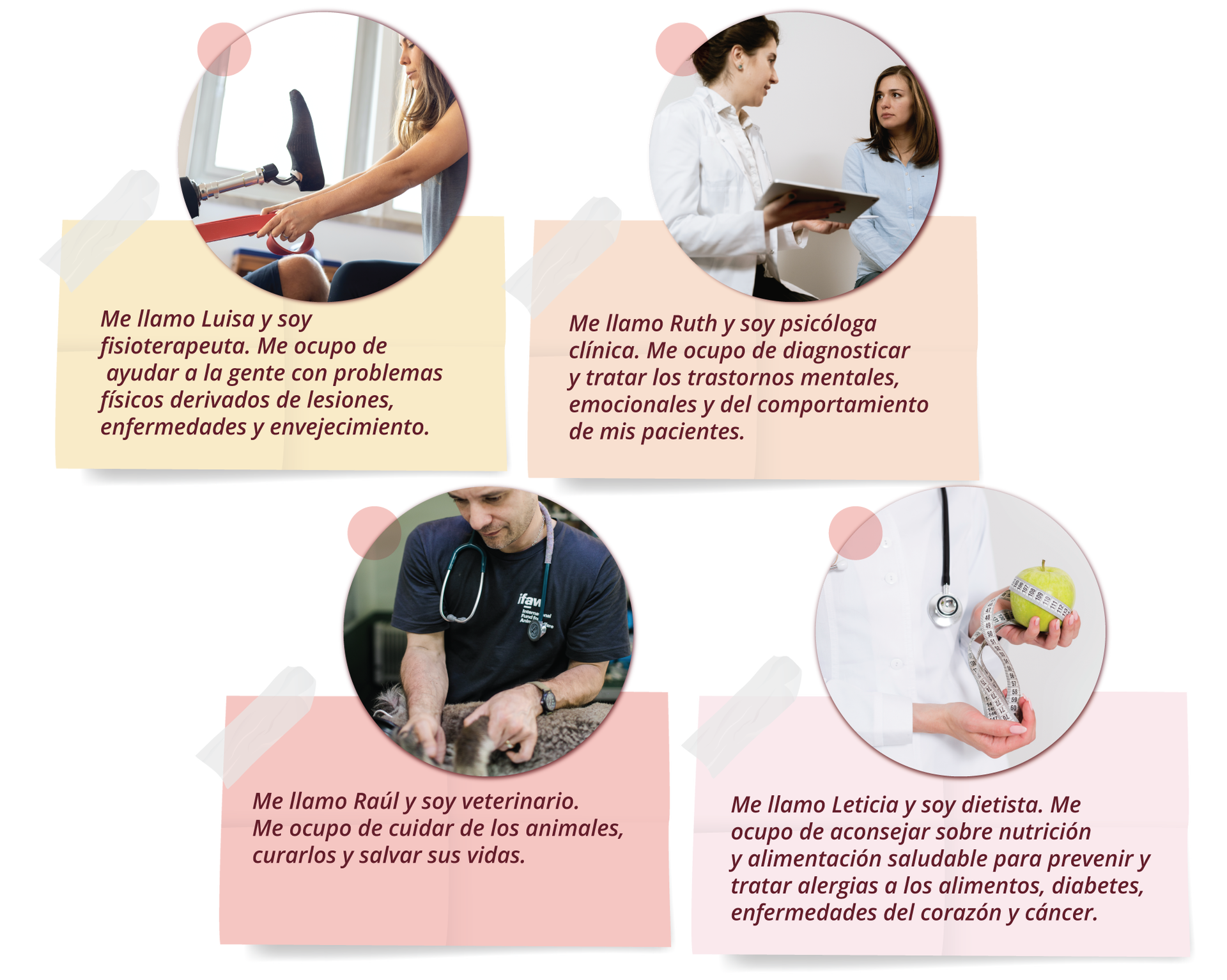 Grafika przedstawia zdjęcia i opisy czterech zawodów. Na pierwszym zdjęciu widoczne są dwie osoby. Z lewej strony jest czyjeś kolano i protezę nogi poniżej kolana uniesioną do góry. Z prawej strony młoda kobieta ciągnąca gumę do ćwiczeń gimnastycznych. Pod spodem podpis  Me llamo Luisa y soy fisioterapeuta. Me ocupo de ayudar a la gente con problemas físicos derivados de lesiones, enfermedades y envejecimiento. . Na drugim zdjęciu widoczne są dwie kobiety. Po lewej kobieta w kitlu lekarskim trzyma w ręku dokumentację. Z prawej młoda kobieta w widocznej ciąży. Pod spodem podpis:  Me llamo Ruth y soy psicóloga clínica. Me ocupo de diagnosticar y tratar los trastornos mentales, emocionales y del comportamiento de mis pacientes. . Na czwartym zdjęciu widoczny mężczyzna ze stetoskopem założonym na szyi. Rękoma przytrzymuje prawdopodobnie psa. Pod spodem podpis:  Me llamo Raúl y soy veterinario. Me ocupo de cuidar de los animales, curarlos y salvar sus vidas. . Na czwartym zdjęciu widoczna jest kobieta w kitlu lekarskim ze stetoskopem trzymająca w lewej ręce jabłko oraz centymetr krawiecki. Pod spodem podpis:  Me llamo Leticia y soy dietista. Me ocupo de aconsejar sobre nutrición y alimentación saludable para prevenir y tratar alergias a los alimentos, diabetes, enfermedades del corazón y cáncer. 