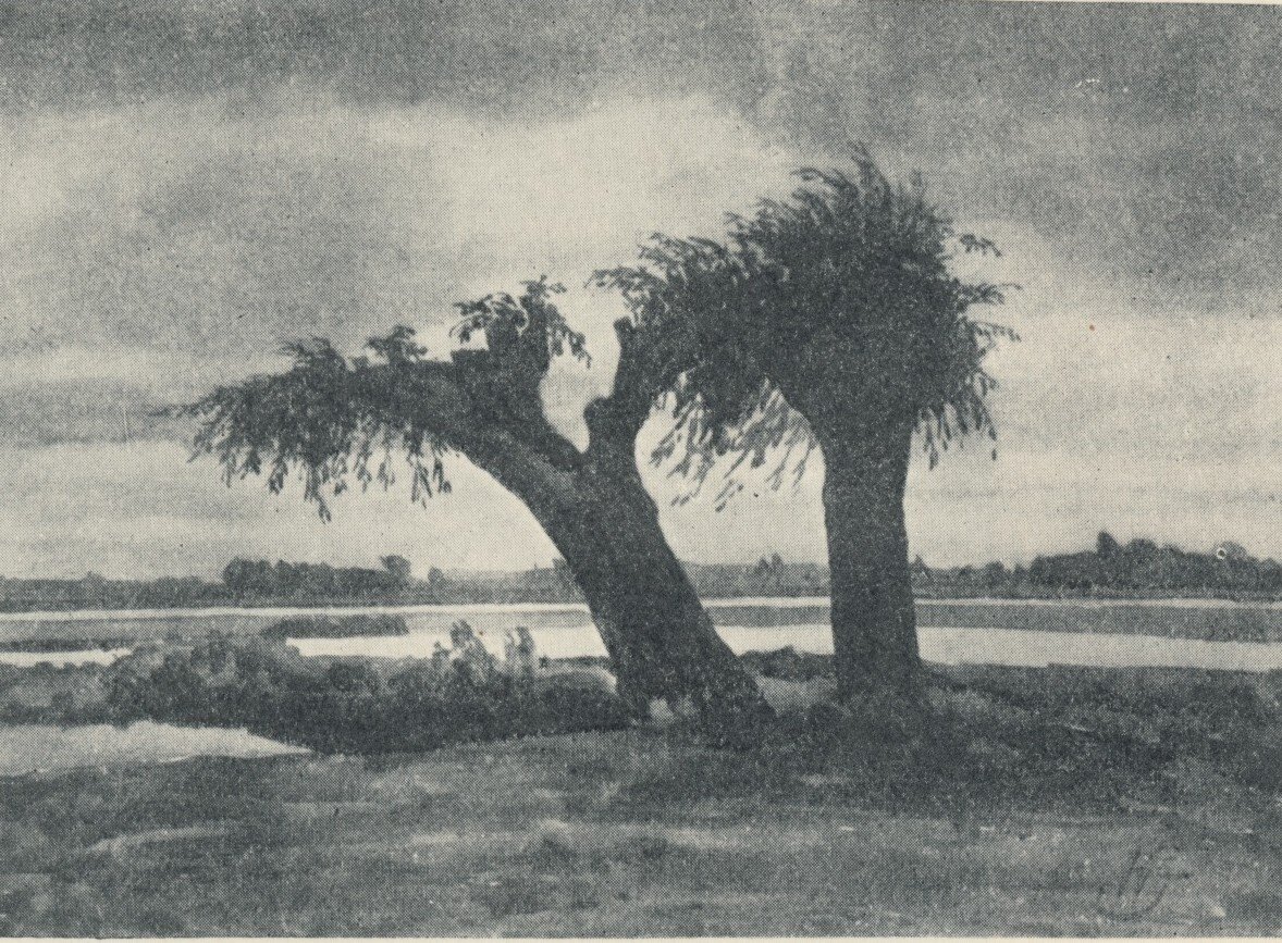 Obraz przedstawia brzeg rzeki. Rosną na nim niedaleko siebie dwie rosochate wierzby.