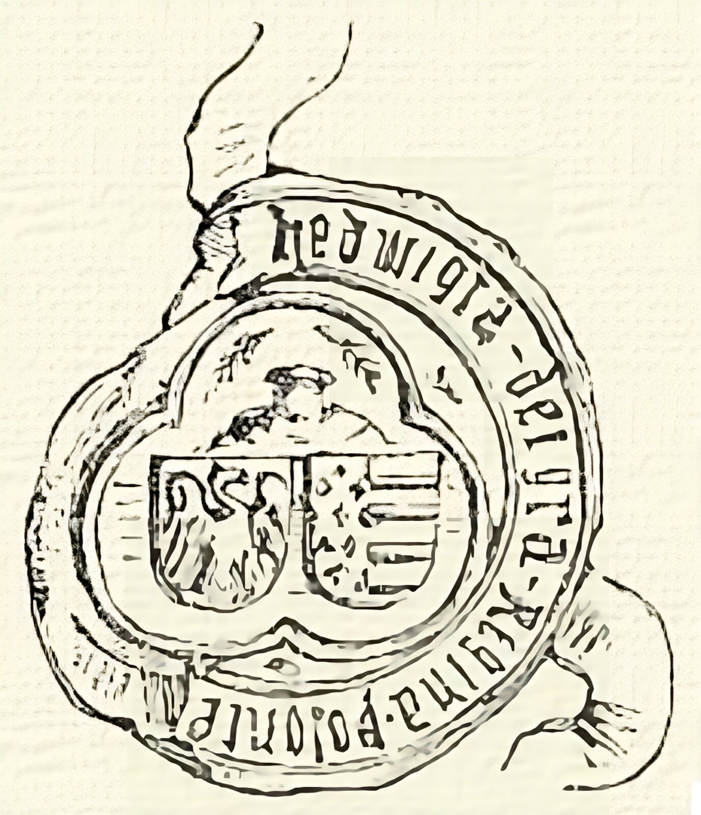 Ilustracja przedstawia odrysowaną pieczęć królowej Jadwigi. Wewnątrz nieregularnego odrysu laku widać trójlistny obwód, wewnątrz którego znajdują się dwie tarcze herbowe - Królestwa Polskiego po lewej stronie i Andegawenów po prawej. Nad tarczami herbowymi zarys postaci. Na prawo od wnętrza, w otoku legendy napis po łacinie definiujący Jadwigę jako polską królową.