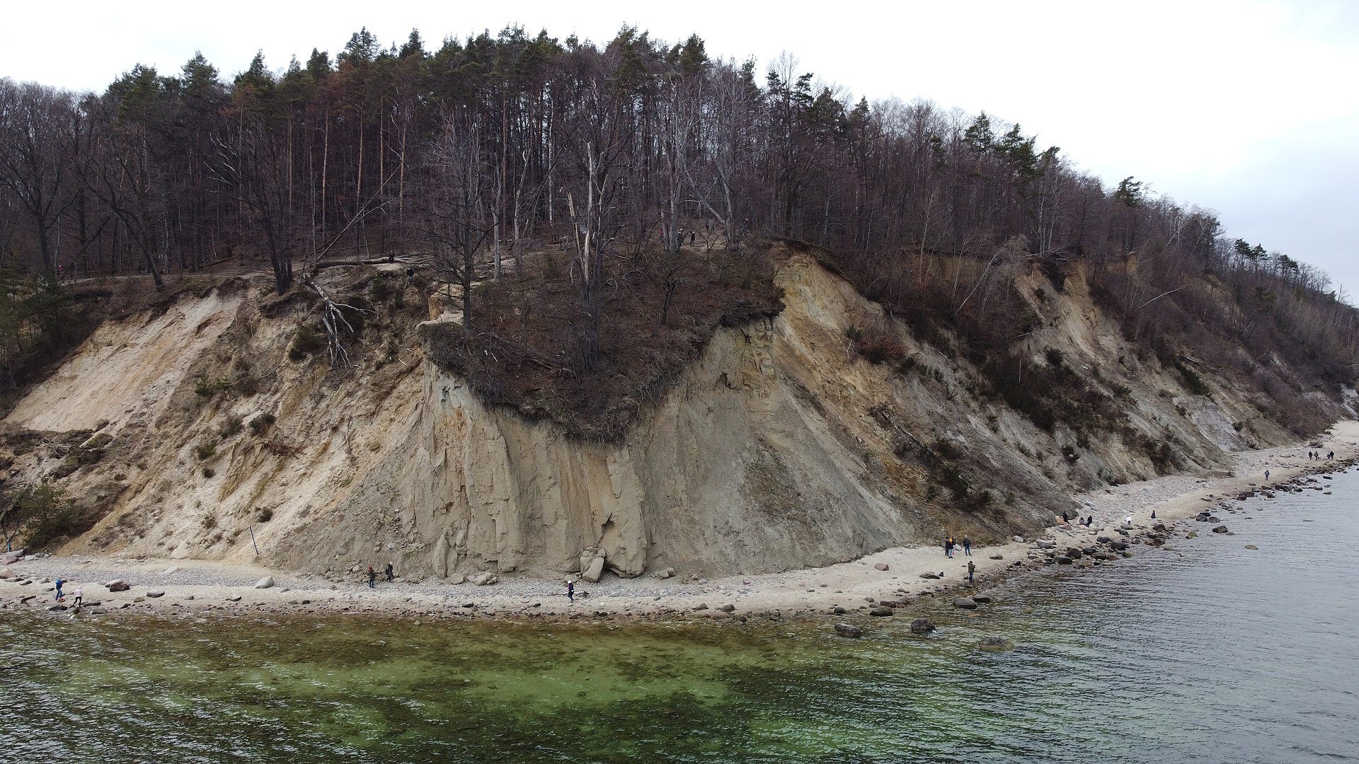 Zdjęcie przedstawia wzniesienie. Znajduje się nad rzeką. Jego zbocza są osunięte oraz porośnięte ciemną roślinnością. Na jego szczycie są nagie drzewa.