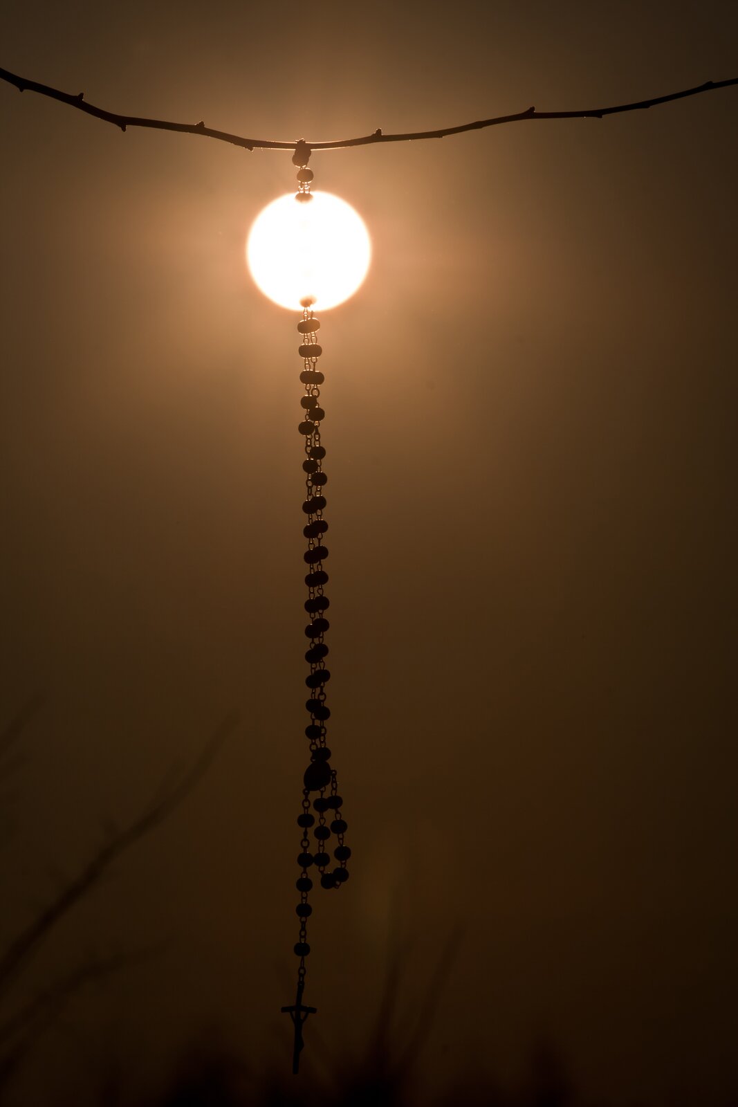 Zdjęcie przedstawia różaniec zawieszony na gałązce. W tle widać słońce. Zdjęcie zostało wykonane pod światło, stąd różaniec jest niemal czarny, a niebo rozświetlone żółtawym światłem.