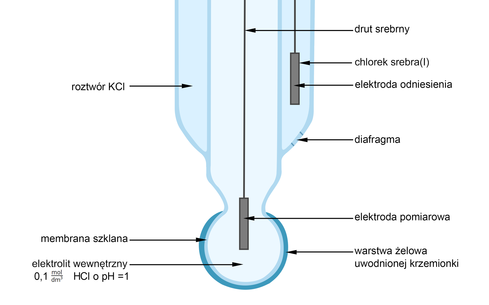 Rysunek przedstawiający schemat budowy elektrody. U dołu znajduje szklana membrana w kształcie bańki, która to pokryta jest warstwą żelową uwodnionej krzemionki. Wnętrze bańki wypełnia elektrolit roztwór HCl o stężeniu 0,1 mol na decymetr sześcienny i o pH równym jeden. We wspomnianym roztworze zanurzona jest elektroda, która umocowana jest na srebrnym drucie. Powyżej bańki znajduje się zwężenie, ponad którym ścianki rozszerzają się i przybiera ona walcowaty kształt, tworząc rurkę, która to mieści się  drugiej rurce mającej początek od poszerzenia do góry. Druga rurka wypełniona jest roztworem KCl w niej zanurzona jest elektroda odniesienia, również na srebrnym drucie, pokryta chlorkiem srebra AgCl. W dolnej części zewnętrznej części elektrody, tej z roztworem KCl, znajduje się diafragma. 