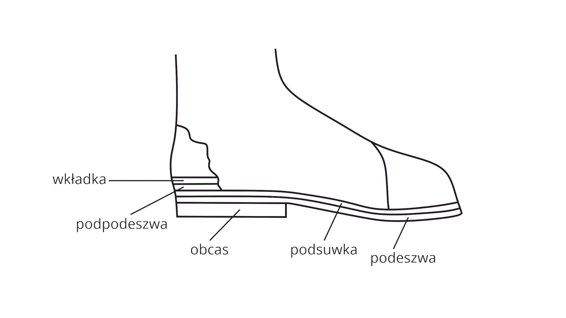 Grafika pod tytułem: Elementy spodu obuwia. Grafika przedstawia schemat obuwia z zaznaczonymi elementami, takimi jak: wkładka, podpodeszwa, obcas, podsuwka i podeszwa.