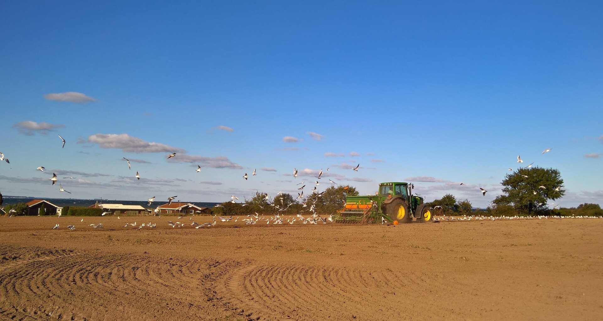 Fotografia przedstawiająca ciągnik z siewnikiem na polu uprawnym.
