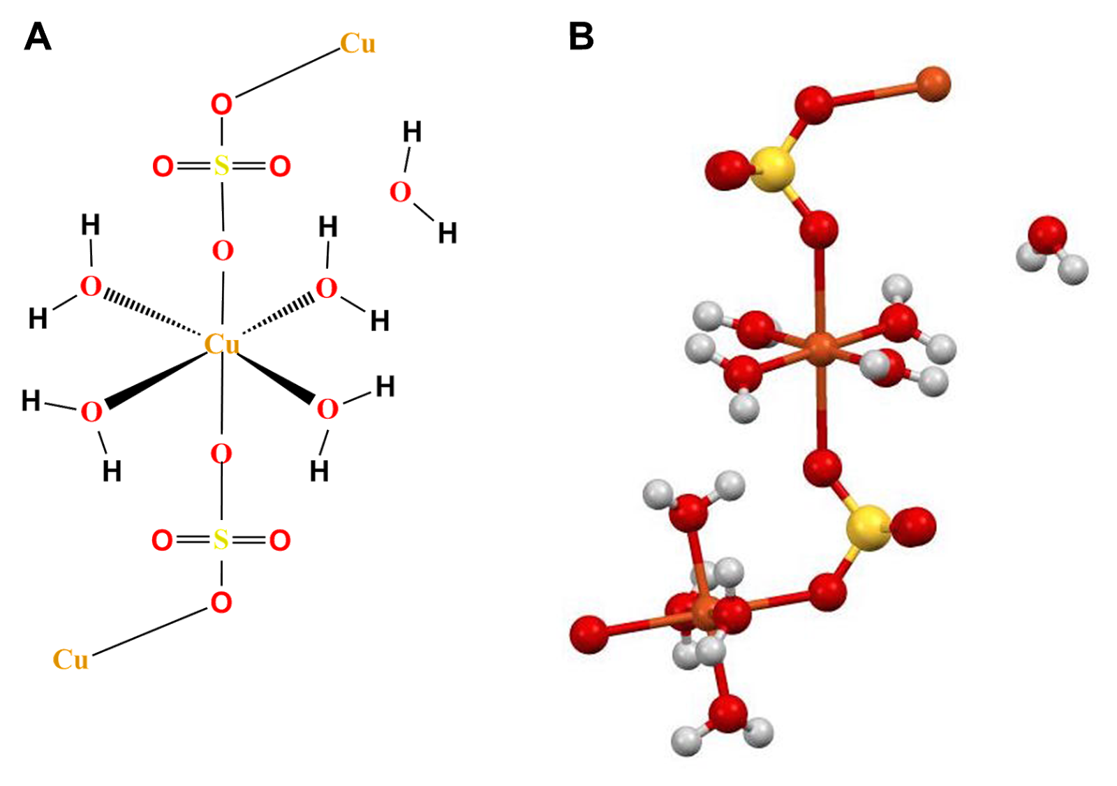 Ilustracja przedstawia wzór strukturalny pięciowodnego siarczanu(sześć) miedzi(dwa) oraz model cząsteczki. Wzór strukturalny: atom miedzi łączy się wiązaniami pojedynczymi z czterema cząsteczkami wody oraz z dwiema cząsteczkami o wzorze: atom siarki łączy się z czterema atomami tlenu. W każdej cząsteczce jeden z atomów tlenu łączy się z atomem miedzi. Obok wzoru jest wzór: atom tlenu łączy się z dwoma atomami wodoru. Model pręcikowo‑kulkowy: pomarańczowa kulka, oznaczająca atom miedzi, łączy się z sześcioma czerwonymi kulkami, oznaczającymi atomy tlenu. Cztery z nich łączą się z dwiema białymi kulkami – każda z nich. Białe kulki oznaczają atomy wodoru. Dwie czerwone kulki – jedna na górze, druga na dole modelu – łączą się z żółtą kulką, oznaczającą atom siarki. Żółta kulka położona w górnej części wzoru łączy się z trzema czerwonymi kulkami. Jedna z czerwonych kulek łączy się z pomarańczową kulką. Żółta kulka położona w dolnej części wzoru łączy się z trzema czerwonymi kulkami. Jedna z nich łączy się z pomarańczową kulką połączoną z pięcioma czerwonymi kulkami. Każda z czterech czerwonych kulek łączy się z dwiema białymi kulkami. Obok jest model zbudowany z jednej czerwonej kulki połączonej z dwiema białymi kulkami.