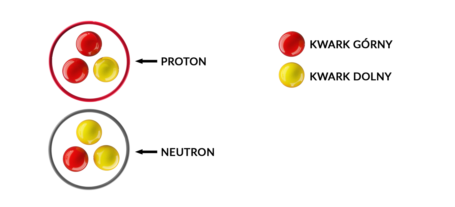 Na ilustracji znajduje się proton i neutron. Proton to dwie czerwone kulki i jedna żółta zamknięte w czerwonym okręgu. Kulka czerwona znajduje się u góry, czerwona i żółta na dole. Neutron to dwie żółte kulki i jedna czerwona zamknięte w szarym okręgu. Żółta kulka znajduje się u góry, czerwona i żółta na dole. Czerwona kulka oznacza kwark górny, żółta kulka - kwark dolny.