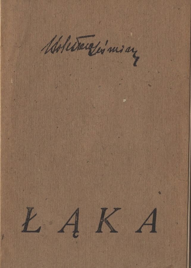 Zdjęcie przedstawia okładkę książki. W górnej części znajduje się imię i nazwisko autora, w dolnej części tytuł Łąka.