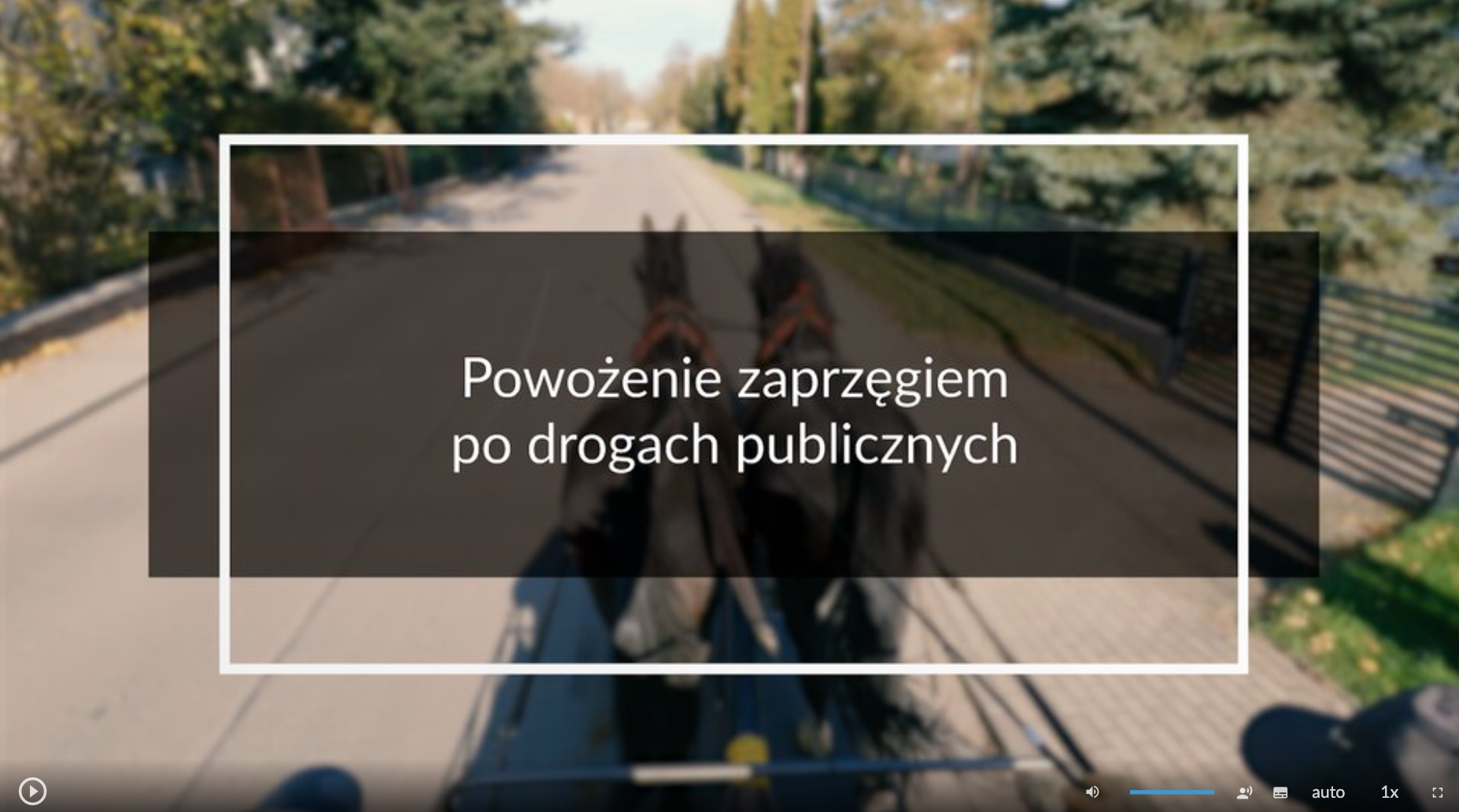 Grafika przedstawia ekran początkowy filmu edukacyjnego. Znajduje się na nim plansza tytułowa. Jest to grafika przedstawiająca jadący powóz zaprzęgnięty w dwa konie, na której tle umieszczono tytuł filmu: Powożenie zaprzęgiem po drogach publicznych. W lewym dolnym rogu ekranu filmu umieszczony jest przycisk służący do odtwarzania i zatrzymywania filmu. W prawym dolnym rogu ekranu umieszczono szereg różnych przycisków. Odpowiedzialne są one między innymi za uruchamianie napisów, zmianę głośności i zmianę szybkości odtwarzania.