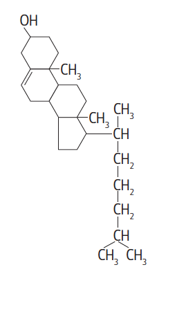 Na rysunku cząsteczka cholesterolu. Zawiera fragment  pierścieniowy i fragment zbudowany z alifatycznego łańcucha węglowego. Fragment pierścieniowy zbudowany jest z 3 pierścieni sześciowęglowych i czwartego pięciowęglowego.