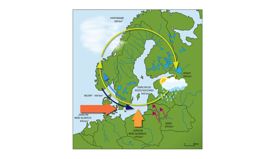 Na ilustracji jest fragment mapy północnej Europy. Nad Niemcami jest strzałka w prawo, skierowana od Morza Północnego w stronę Bałtyku z napisem: dopływ wód słonych 430 kilometrów sześciennych. Od lądu na mapie Polski w kierunku Bałtyku jest strzałka z napisem dopływ wód słodkich 670 kilometrów sześciennych. Od strony Białorusi, Rosji i Litwy strzałki w kierunku Morza Bałtyckiego z napisem: rzeki 470 kilometrów sześciennych. Nad Łotwą namalowano chmurę ze słońcem i deszczem, tu opis: opady 200 kilometrów sześciennych. Od strony Norwegii w kierunku OPADÓW jest strzałka, od OPADÓW strzałka w kierunku Norwegii. Od południa Szwecji strzałka w kierunku południa Norwegii. Od południa Norwegii strzałka w kierunku południa Bałtyku. Tu opis: wlewy 430 kilometrów sześciennych. Na środku Bałtyku jest napis: odpływ do wszechoceanu 920 kilometrów sześciennych.      