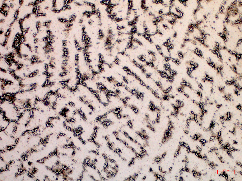 Mikrostruktura dendrytycznaCiemne dendryty ledeburytu na tle jasnej osnowy cementytowej - powiększenie 20x