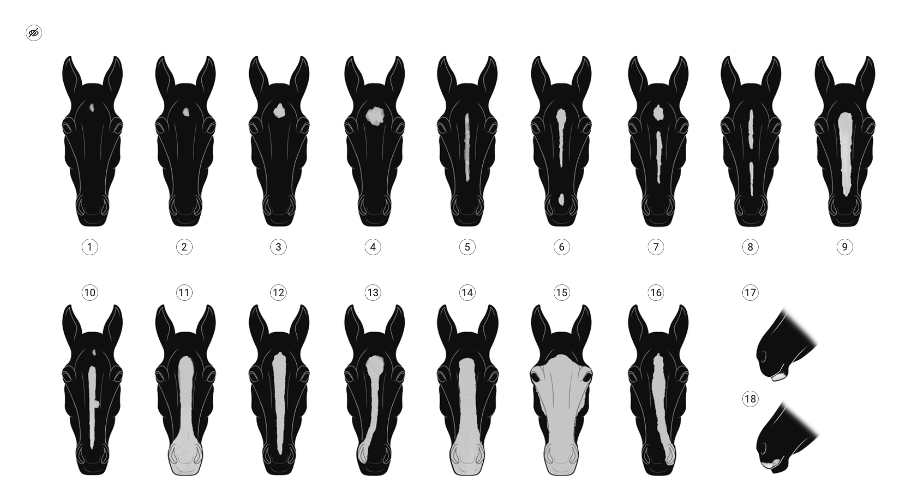 Ilustracja przedstawia widok planszy interaktywnej. Widoczne są głowy konia z różnymi charakterystycznymi elementami. Każda grafika ma swój przypisany numer. Jest ich osiemnaście. W lewym górnym roku znajduje się ikona z przekreślonym okiem.