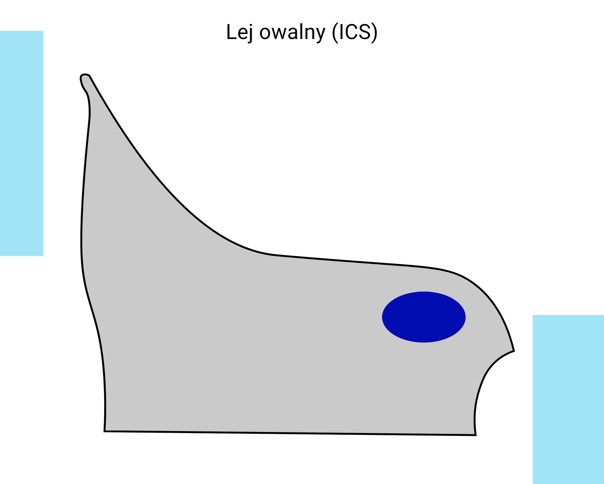 Schemat graficzny przedstawiający przekrój czołowy kształtu wejścia leja z umiejscowieniem guza kulszowego.