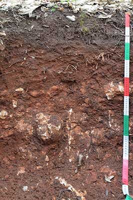 Na zdjęciu jest profil glebowy, w którym pierwsza warstwa jest ciemna, niemal czarna, druga - ciemnobrązowa, kasztanowa, a trzecia również ciemnobrązowa, ale z wieloma kamieniami. 