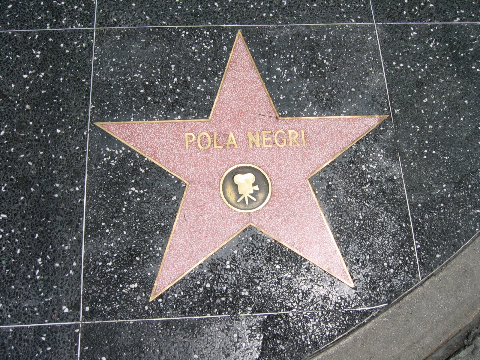 Zdjęcie przedstawia fragment chodnika, na którym jest pięcioramienna gwiazda. Na gwieździe jest napis "Pola Negri" oraz kółko na którym jest wizerunek kamery.