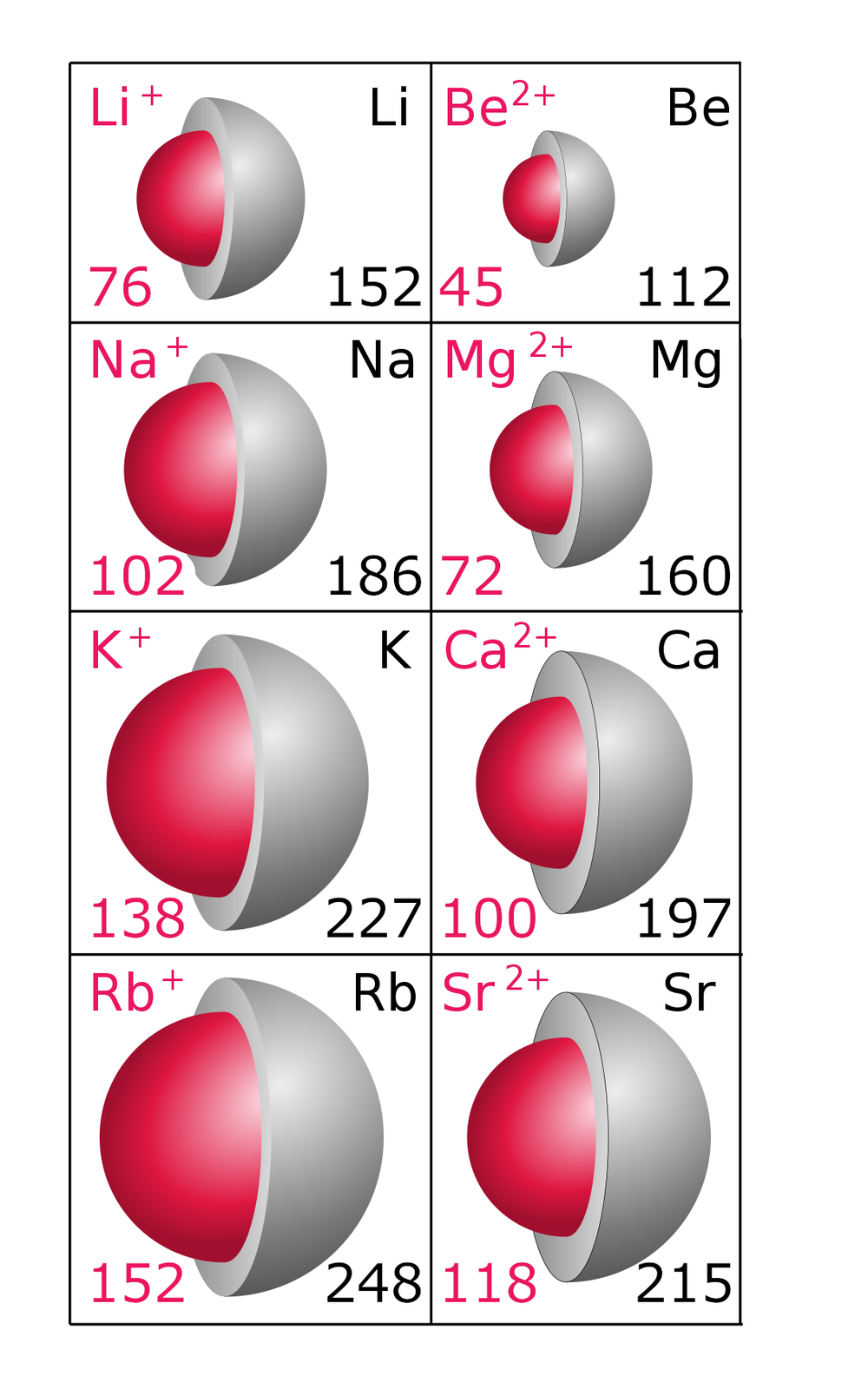 Ilustracja przedstawia promienie atomów i jonów w piknometrach. Wartości są następujące: kation litu 76, lit 152, kation berylu 45, beryl 112, kation sodu 102, sód 186, kation magnezu 72, magnez 160, kation potasu 138, potas 227, kation wapnia 100, wapń 197, kation rubidu 152, rubid 248, kation strontu 118, stront 215.