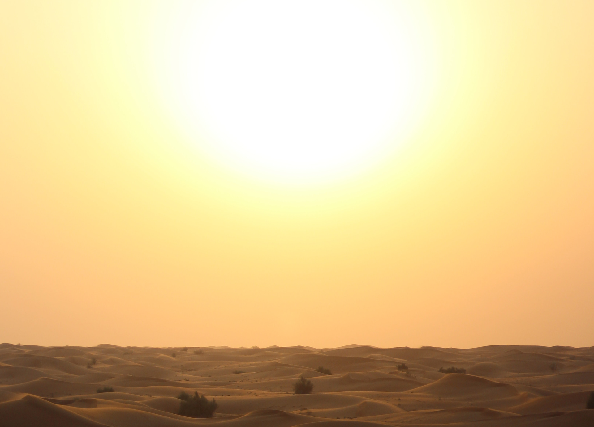 Zdjęcie przedstawia pustynię oraz świecące słońce. 