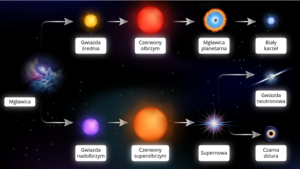 Schemat przedstawia życie gwiazd. Jego etapy zależą od rozmiaru gwiazdy. Gwiazdy średniej wielkości: 1. Mgławica, 2. Gwiazda średnia, 3. Czerwony olbrzym, 4. Mgławica planetarna, 5. Biały karzeł. Gwiazdy dużej wielkości: 1. Mgławica, 2. Gwiazda nadolbrzymia, 3. Czerwony superolbrzym, 4. Supernowa, 5. Czarna dziura albo Gwiazda neutronowa.