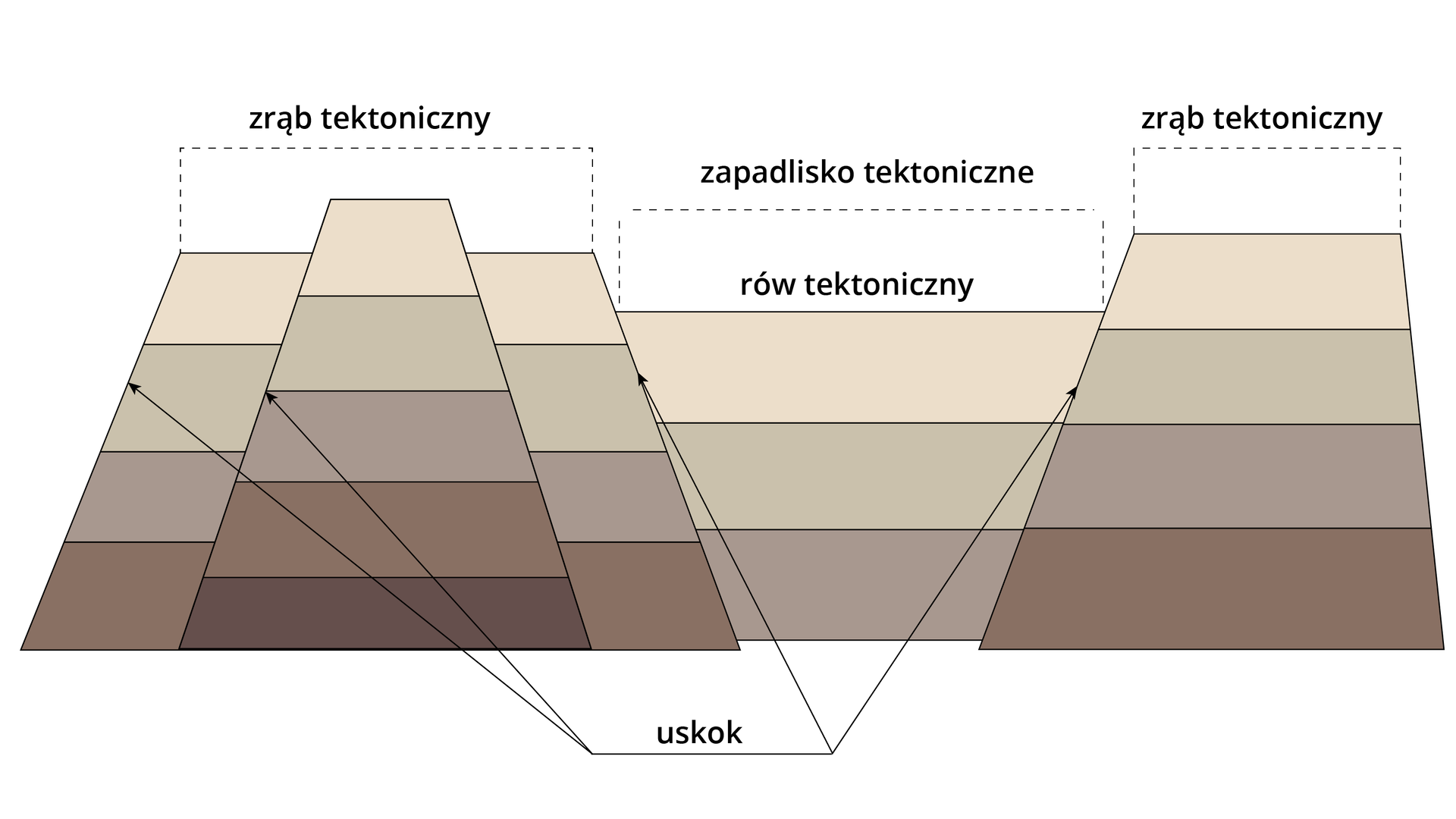 Grafika przedstawia zespoły uskoków. Od lewej strony są obniżone warstwy skalne, uskok, wypiętrzone warstwy skalne, uskok, obniżone warstwy skalne. Jest to zrąb tektoniczny. Następnie są długie obniżone warstwy skalne rowu tektonicznego. Jest to zapadlisko tektoniczne. Następnie są długie wypiętrzone warstwy skalne. Jest to zrąb tektoniczny.