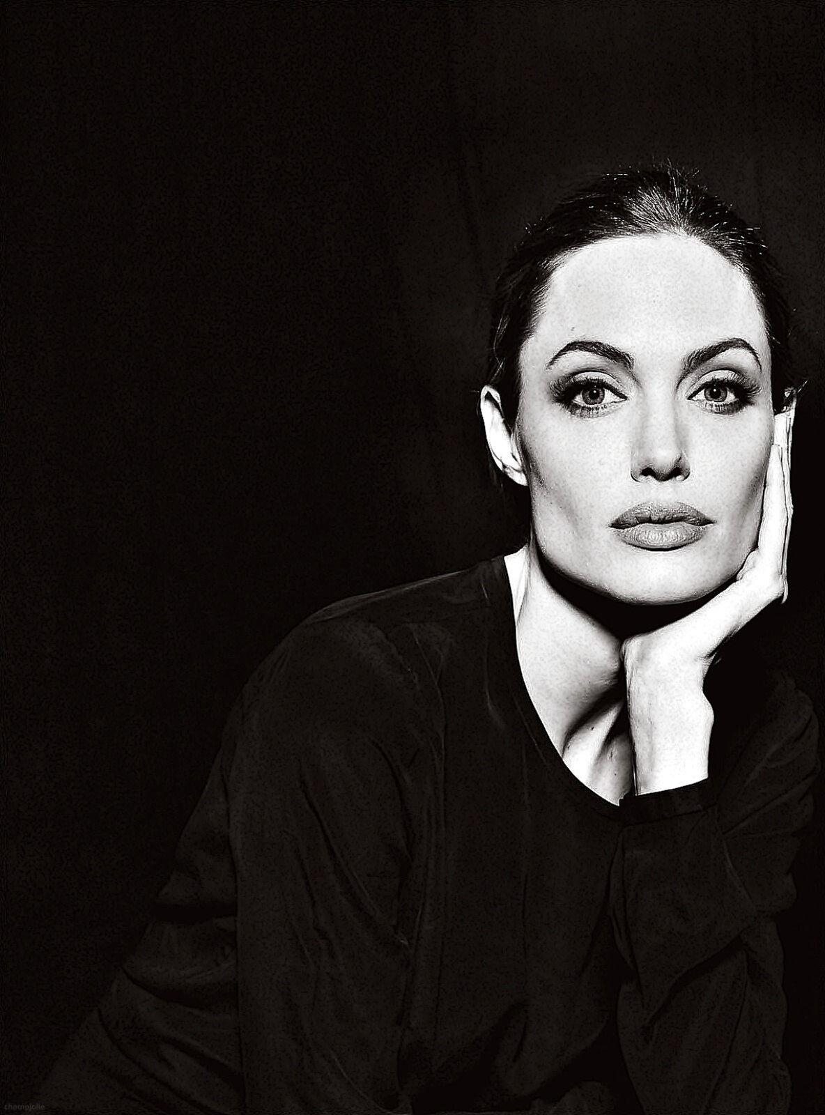 Praca Annie Leibovitz pod tytułem „Angelina Jolie” przedstawia kobietę w średnim wieku o ciemnych włosach zaczesanych do tyłu. Aktorka ubrana jest w czarną bluzkę, która uwydatnia bladość jej skóry.  Jedną dłonią podpierając twarz, kobieta ze spokojem spogląda na widza. Oczy aktorki umalowane są cieniami, a jej górną linię rzęs podkreślono czarną kredką. Jej rzęsy są długie, a kości policzkowe wydatne, co nadaje jej twarzy smukłego wyglądu. Fotografia jest czarno‑biała i została wykonana na czarnym tle.