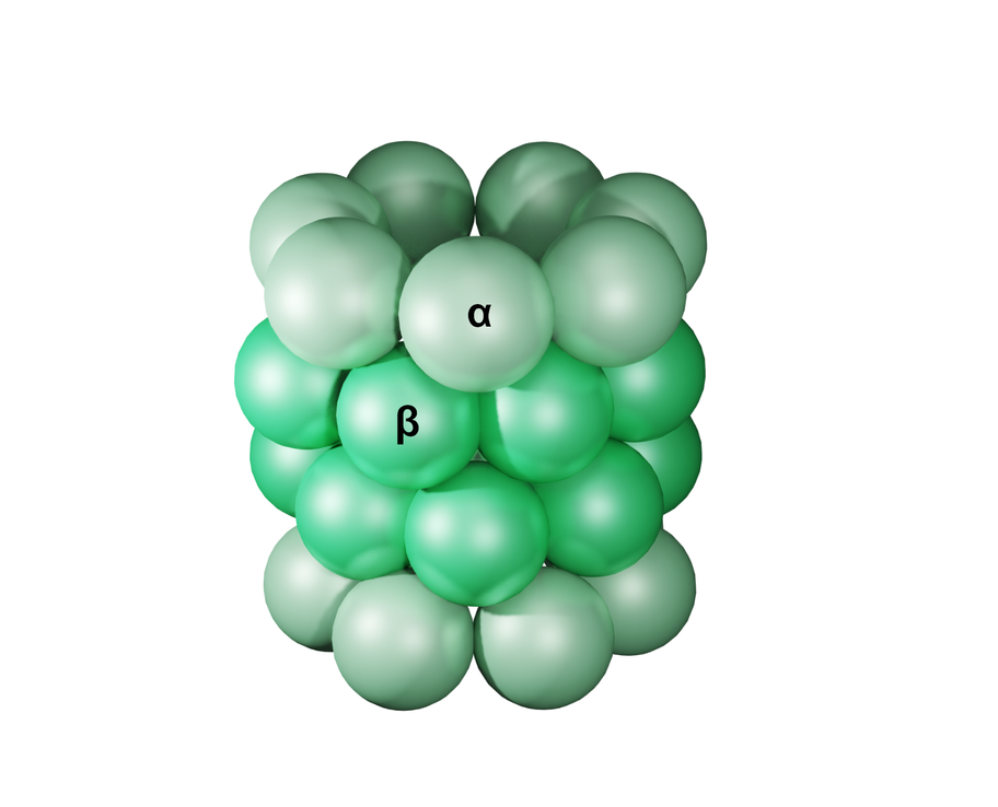 Ilustracja przedstawia budowę proteasomu 20S, który składa się z 28 kulek reprezentujących podjednostki proteasomu. U góry i u dołu znajduje się po 7 jasnozielonych kulek – podjednostek alfa, a w środku 14 ciemnozielonych kulek – podjednostek beta.