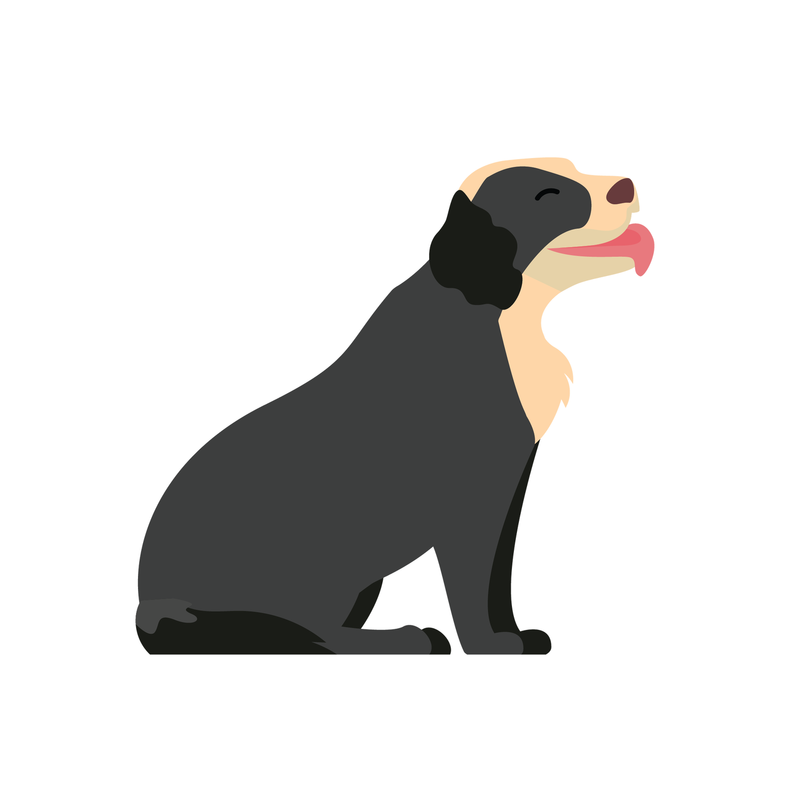 Ilustracja przedstawia psa. Jest to zwierzę, które ma ciało pokryte beżowo‑czarną sierścią, duże oklapnięte uszy, długi ogon i cztery łapy.