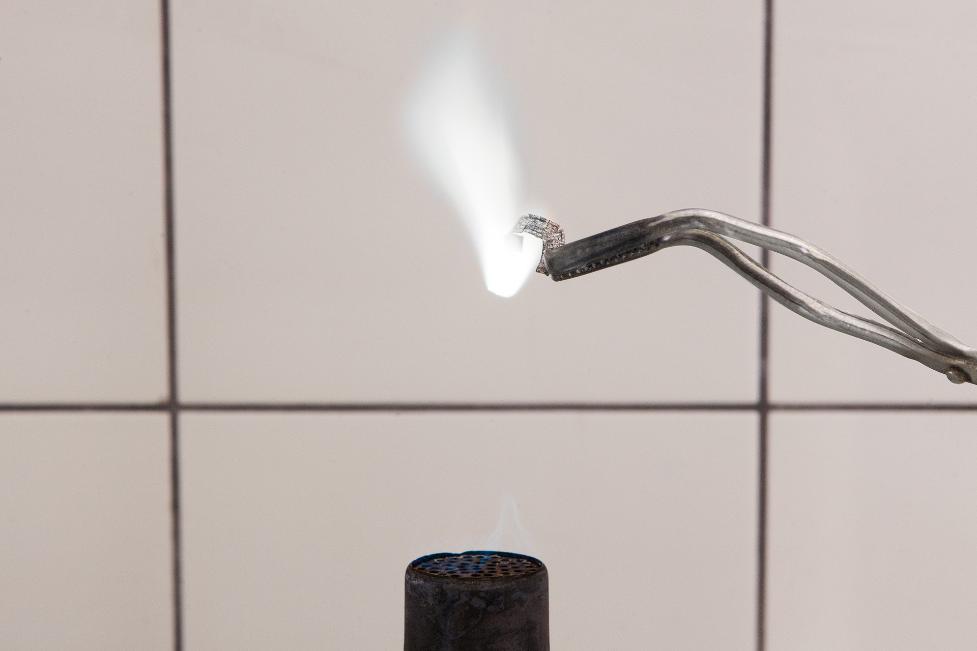 Zdjęcie przedstawia końcówkę laboratoryjnego palnika gazowego oraz szczypce trzymające w słabo widocznym płomieniu kawałek taśmy magnezowej. Ogrzewany metal pali się jasnym płomieniem, choć widać też kawałek wstążki, który jeszcze nie zdążył się rozpalić.