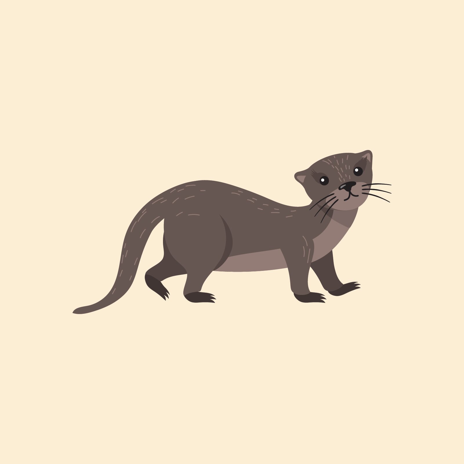 Ilustracja przedstawia szarą fretkę.