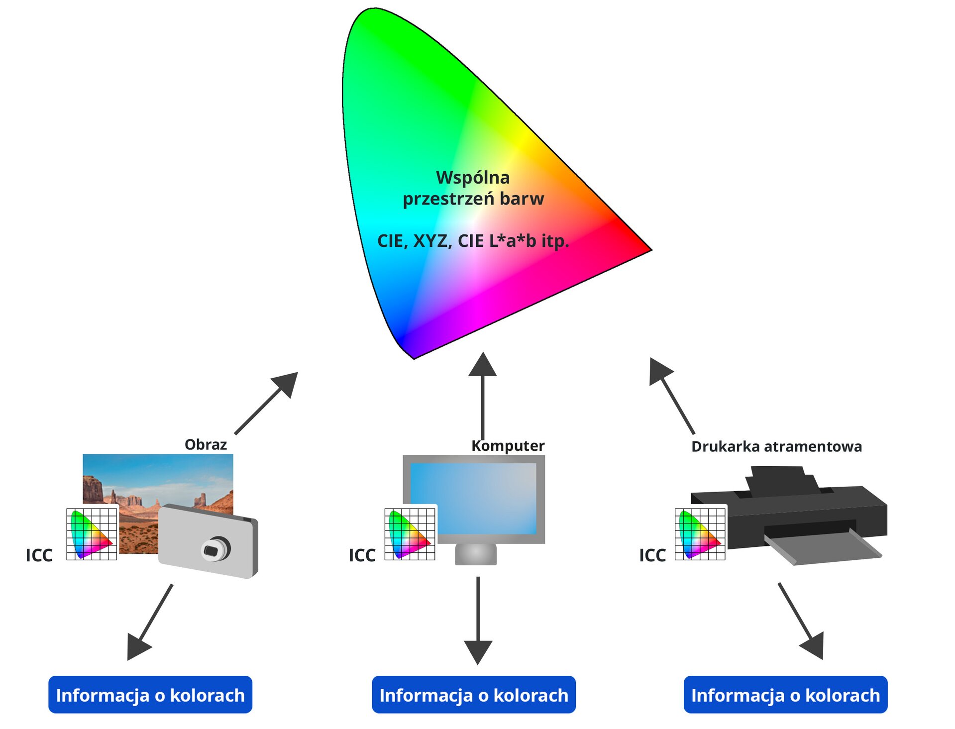 Grafika, na której znajduje się nieregularny kształt w kolorach zielonym, żółtym, czerwonym oraz niebieskim, mieszających się ze sobą. Napisane jest na nim: Wspólna przestrzeń barw, CIE, XYZ, CIE L*a*b, itp. Pod spodem znajdują się trzy mniejsze grafiki, od każdej z nich poprowadzona jest strzałka w górę do górnej grafiki. Pierwsza z grafik to obraz przedstawiający krajobraz pustynny, ilustrację aparatu fotograficznego oraz kwadrat z taką samą grafiką, jak grafika główna. Druga ilustracja przedstawia monitor, nad którym napisane jest ,,Komputer'' oraz  główną grafikę w zmniejszonej wersji. Ostatnia ilustracja to drukarka, nad którą znajduje się napis ,,Drukarka atramentowa'' oraz również główna grafika w zmniejszonej wersji. Pod każdą z ilustracji znajduje się strzałka w dół i podpis ,,Informacja o kolorach''.