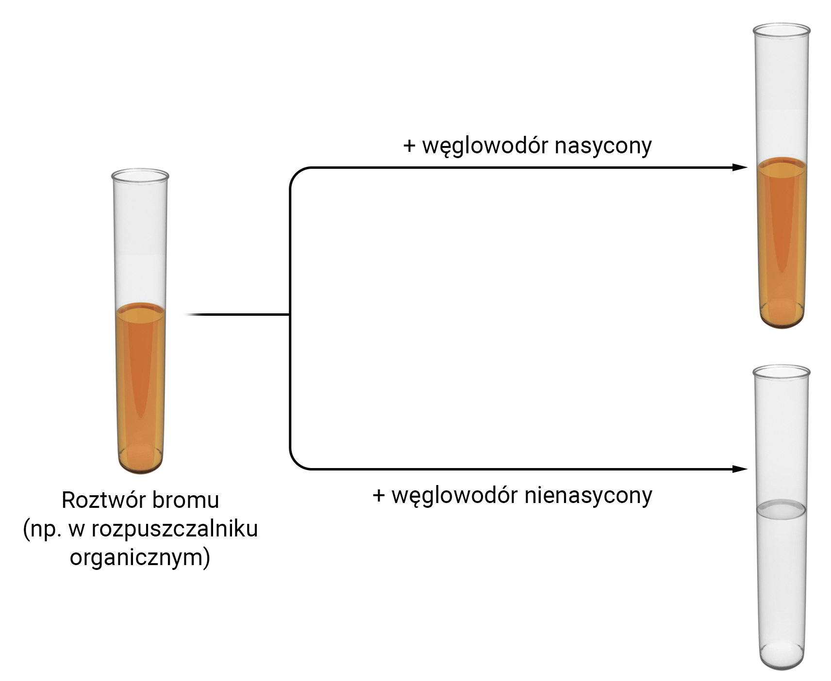 Grafika przedstawia wygląd probówek przed i po reakcji roztworu bromu z węglowodorem nasyconym i nienasyconym. Po lewej stronie znajduje się probówka z przejrzystą pomarańczowo—brązową cieczą, która jest podpisana: roztwór bromu np. w rozpuszczalniku organicznym. Od tej probówki odchodzi pozioma kreska, która rozgałęzia się na dwie strzałki. Nad górną znajduje się napis: plus węglowodór nasycony, strzałka prowadzi do probówki z cieczą o takiej samej barwie, jak ta po lewej stronie. Dolna strzałka jest podpisana tekstem: plus węglowodór nienasycony i prowadzi do probówki z bezbarwną cieczą.