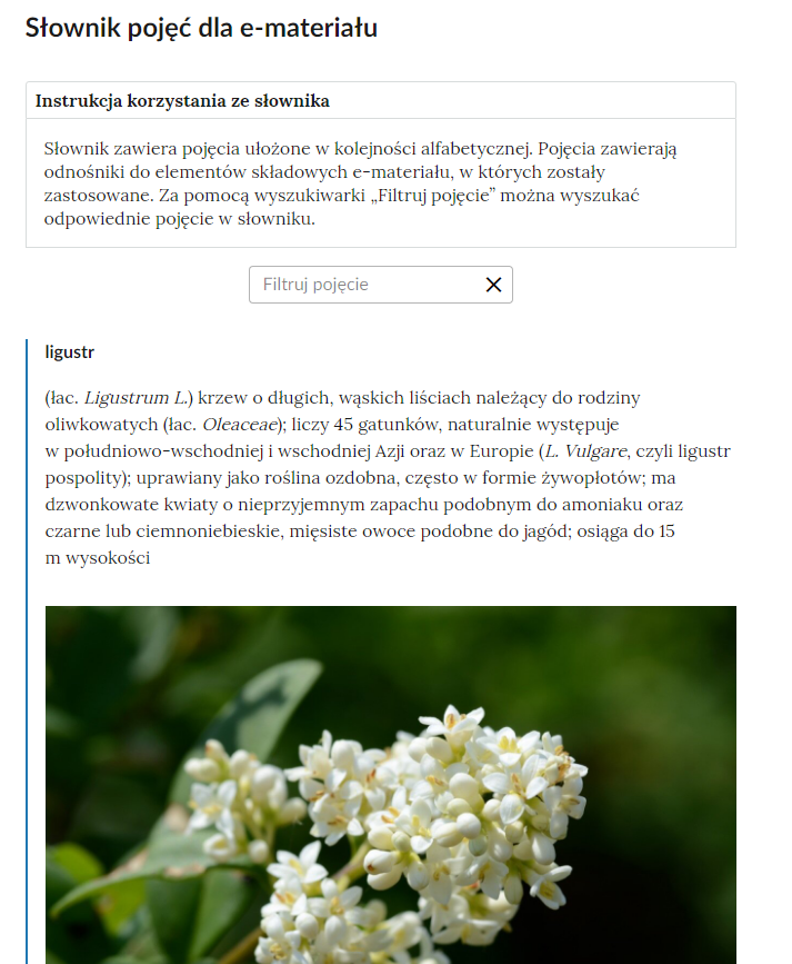 Przykładowa ilustracja przedstawiająca fragment słownika z częścią umożliwiającą filtrację pojęć. Na samej górze umieszczona jest instrukcja korzystania ze słownika. Zawarta jest w niej następująca informacja: „Słownik zawiera pojęcia ułożone w kolejności alfabetycznej. Pojęcia zawierają odnośniki do elementów składowych e‑materiału, w których zostały zastosowane. Za pomocą wyszukiwarki „Filtruj pojęcie” można wyszukać odpowiednie pojęcie w słowniku”. Pod instrukcją korzystania ze słownika umieszczone zostało pole w kształcie prostokąta. Wewnątrz znajduje się napis: filtruj pojęcie oraz umieszczony z boku przycisk w kształcie krzyżyka. Na samym dole znajduje się pierwsze pojęcie ze słownika wraz ze zdjęciem. Pojęcie to: ligustr.