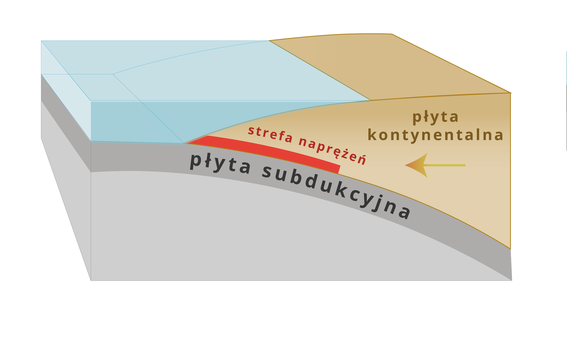 Ilustracja przedstawiająca płytę oceaniczną wsuwającą się pod płytę kontynentalną. Pomiędzy płytami, na samej górze płyty oceanicznej znajduje się wąski pas podpisany płyta subdukcyjna. Nad płytą oceaniczną znajduje się zbiornik wodny, czerwoną linią oznaczono fragment, w którym następuje tarcie między płytami. Znajduje się ono na początku zetknięcia się płyty oceanicznej z kontynentalną. 